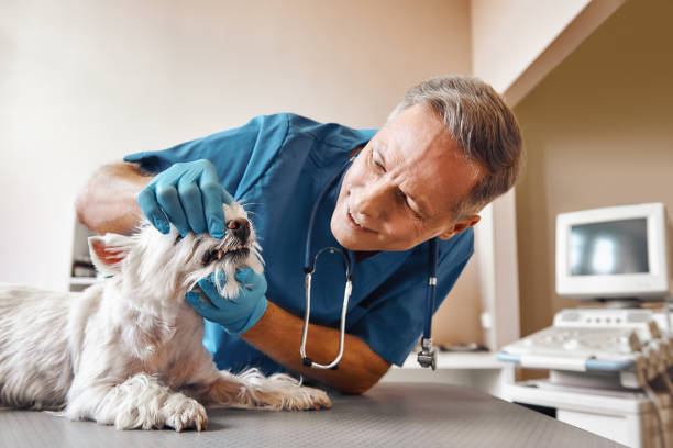 Best Walk-In Emergency Dentist in Granville South, OH